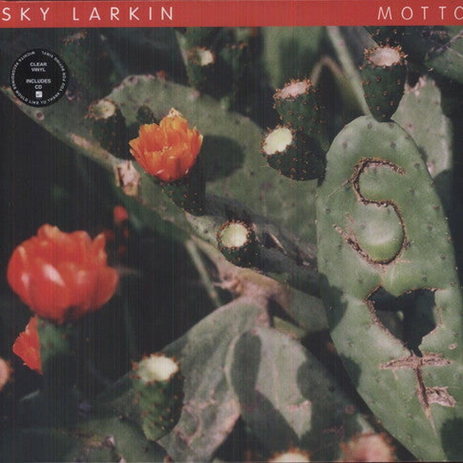 Sky Larkin - Motto