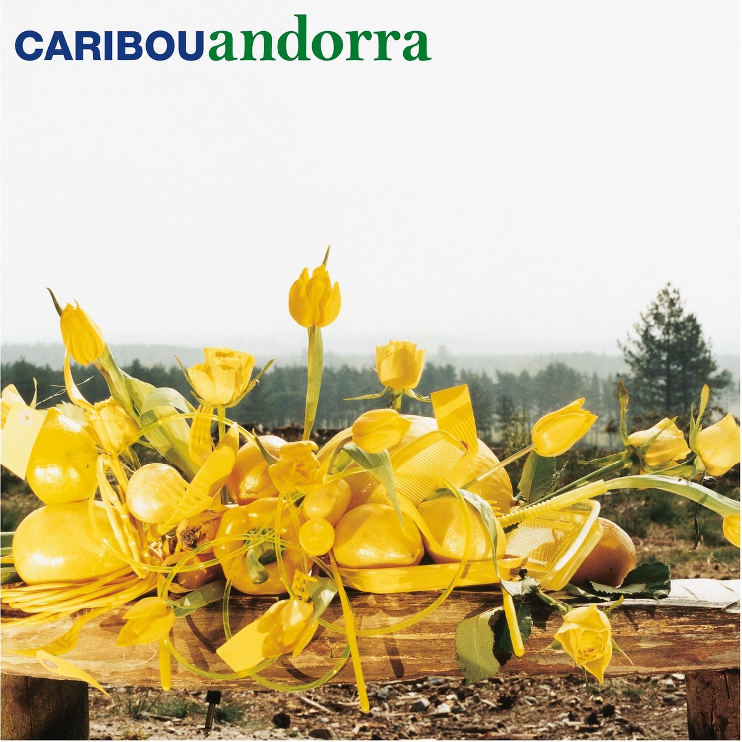 Caribou - Andorra