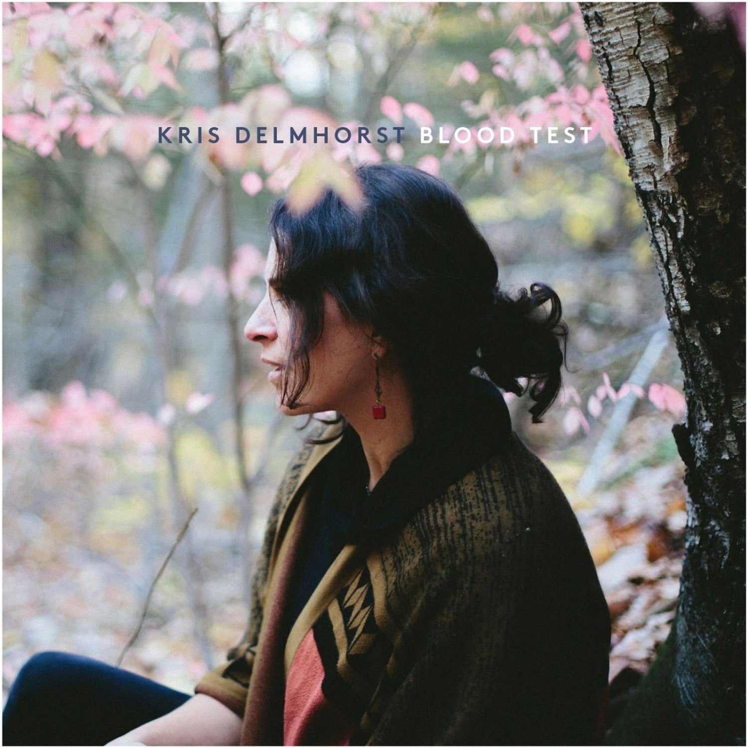 Kris Delmhorst - Blood Test