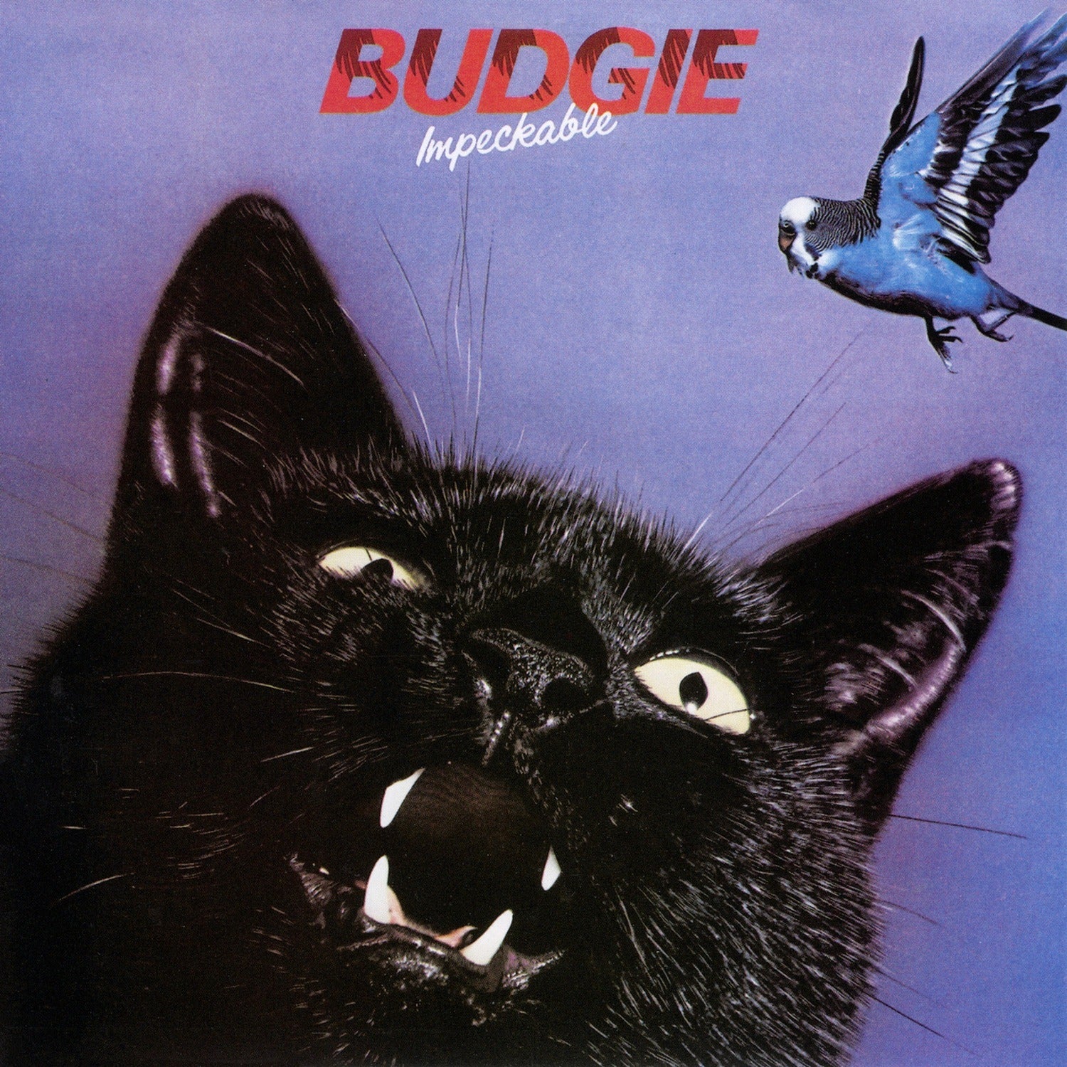 Budgie - Impeckable