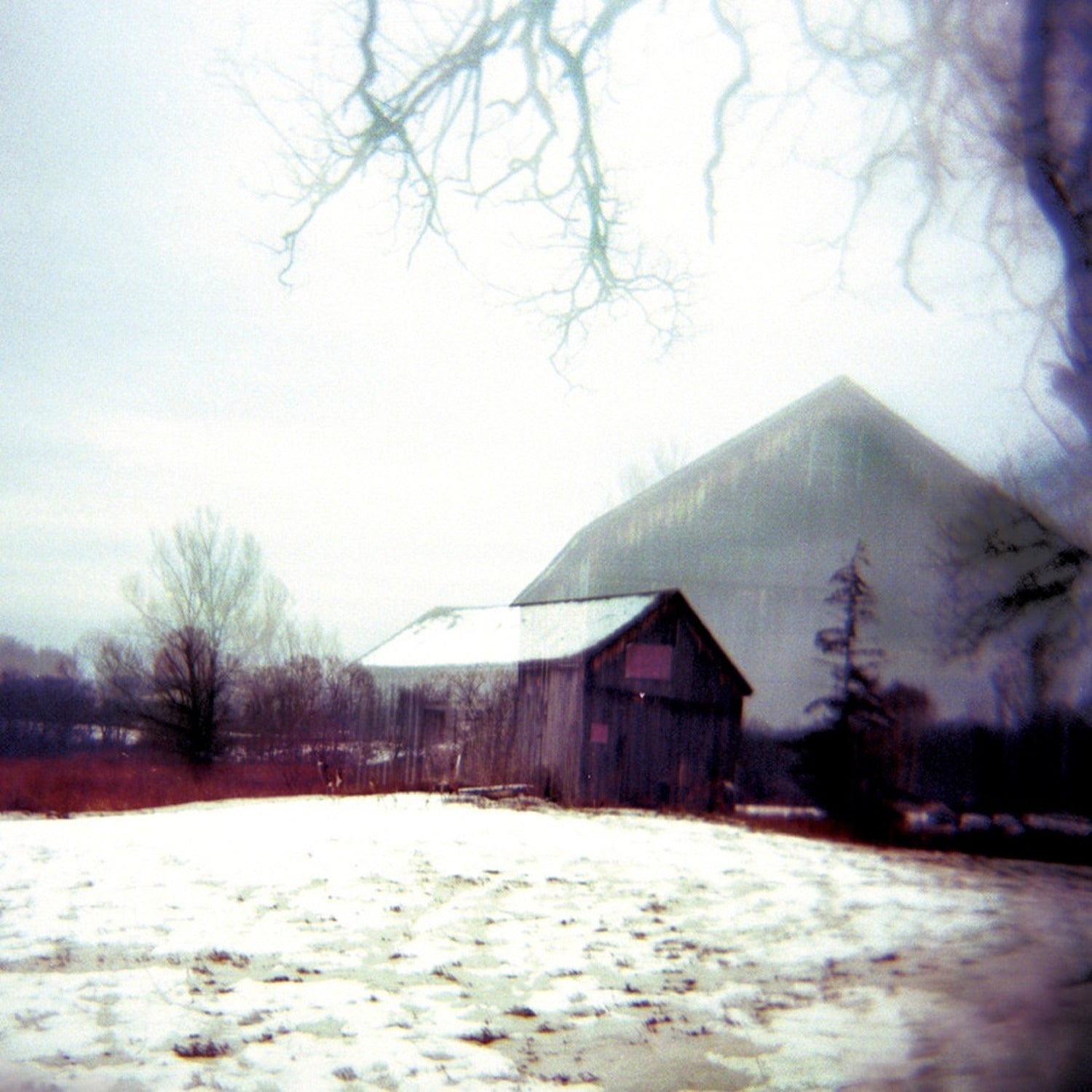 Horse Feathers - House with No Home (CD)
