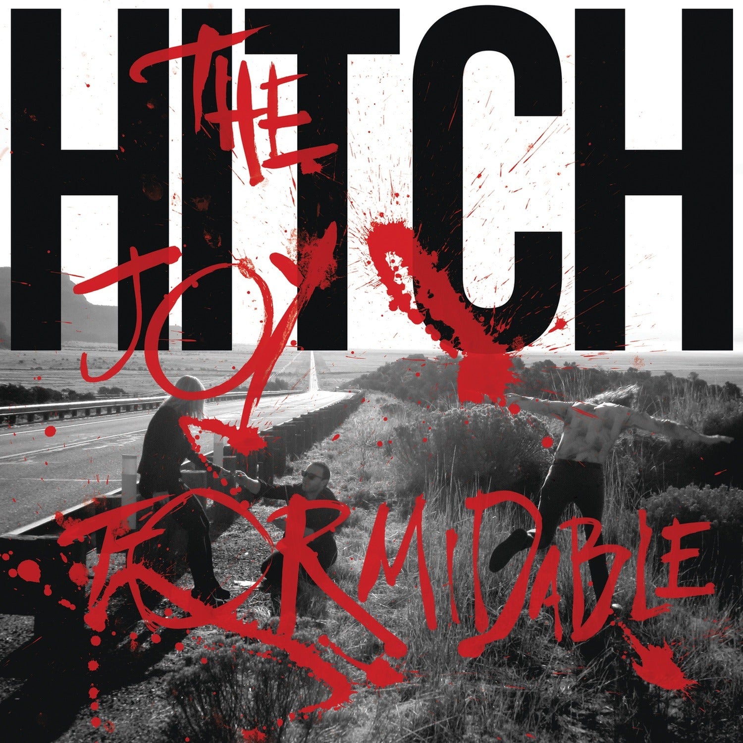 Joy Formidable - Hitch