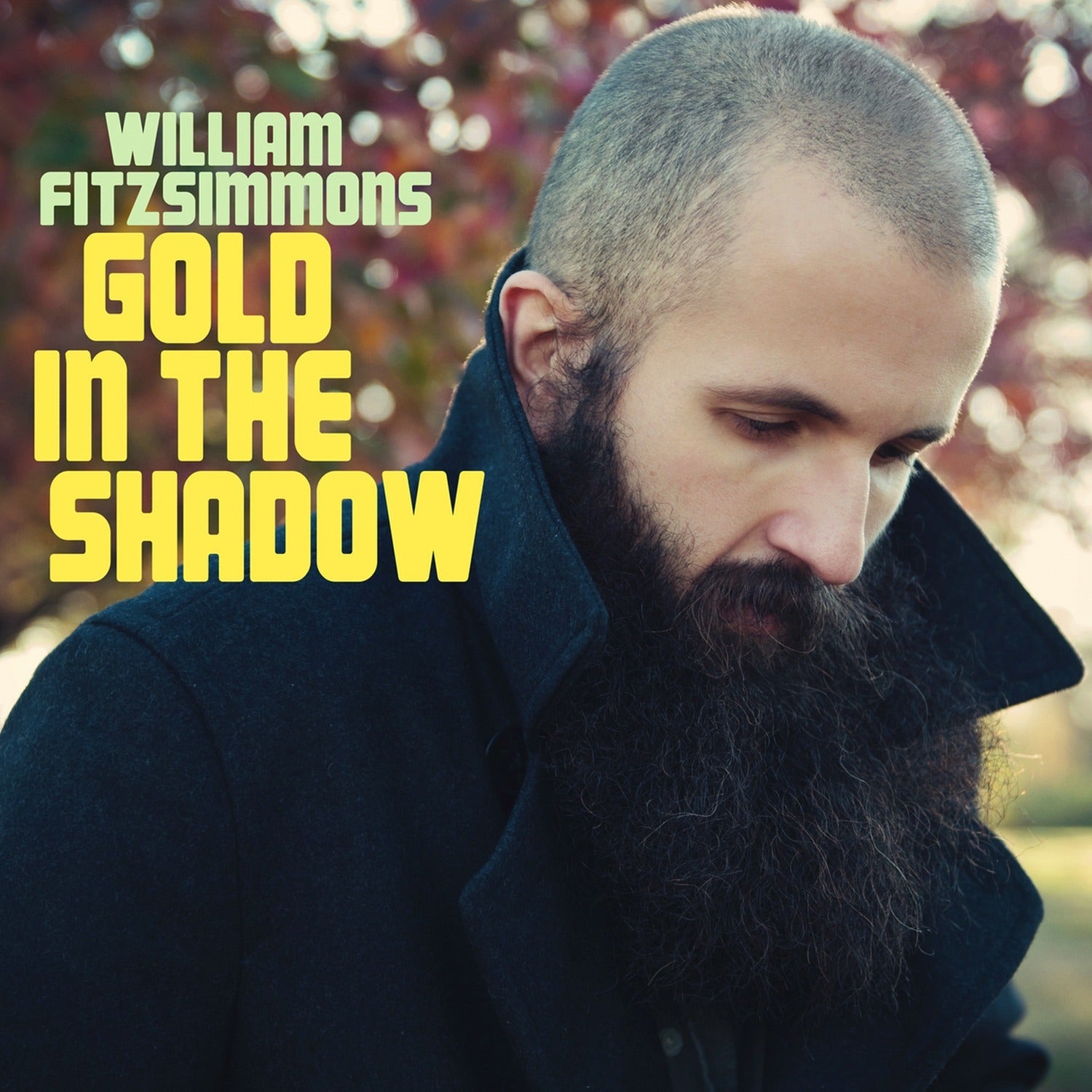 William Fitzsimmons - Gold in the Shadow