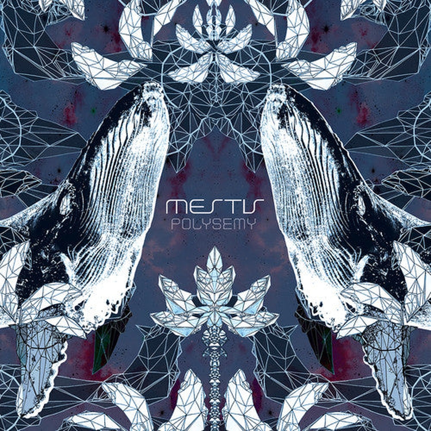 Mestis - Polysemy (Limited Edition)