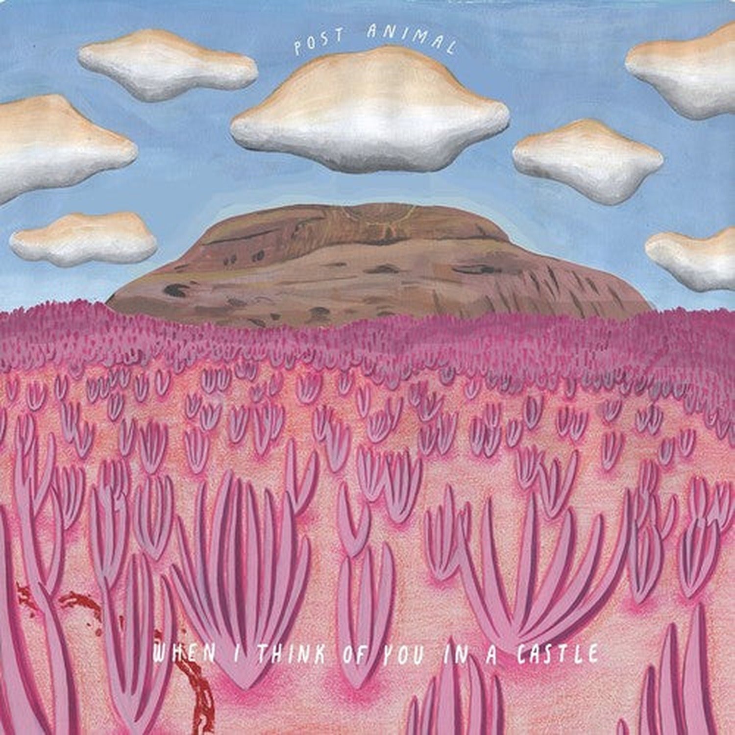 Post Animal - When I Think Of You In A Castle (CD)