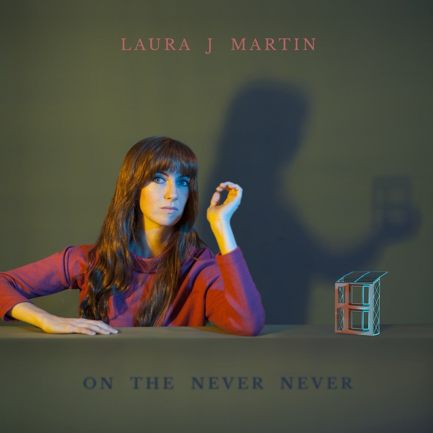 Laura J Martin - On The Never Never (CD)