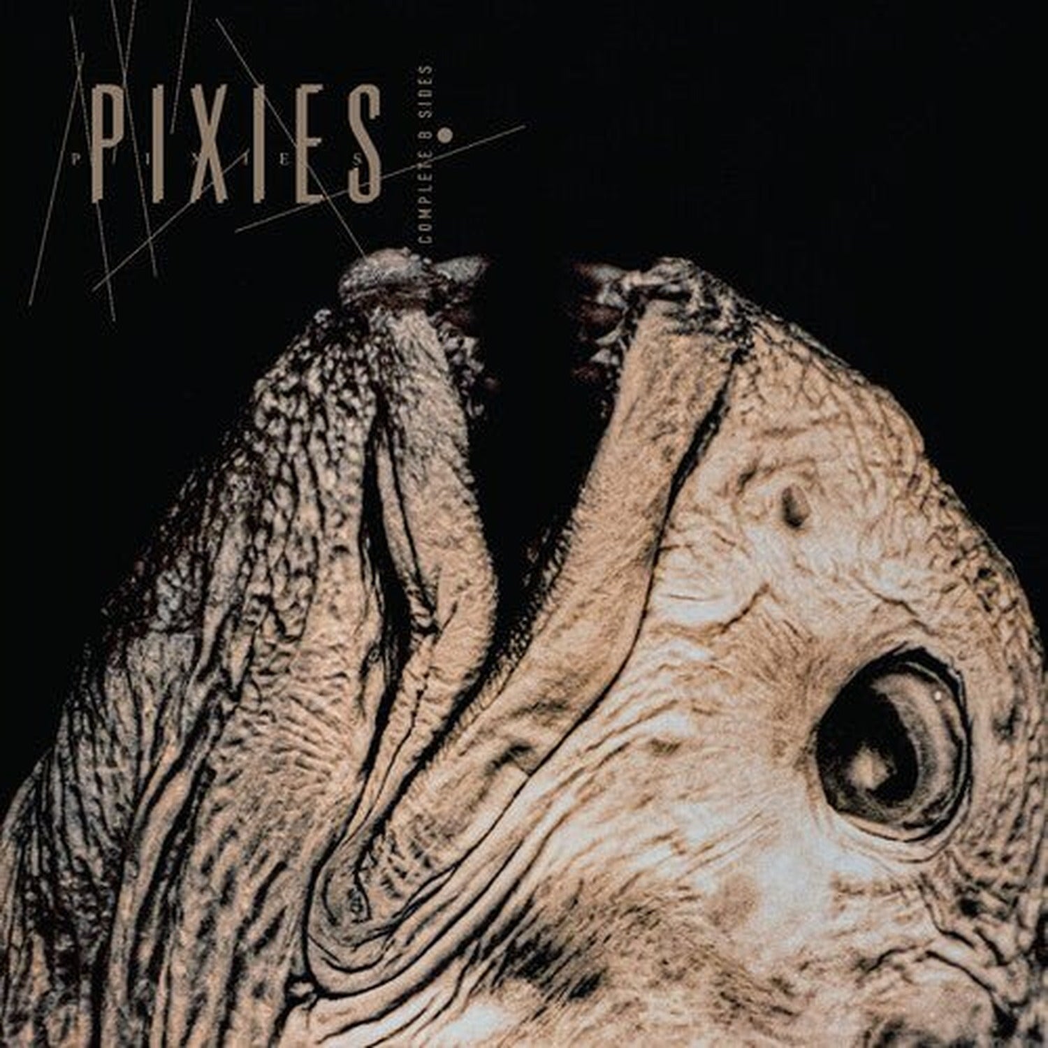 Pixies - Complete B Sides: 1988-97 (Remaster)