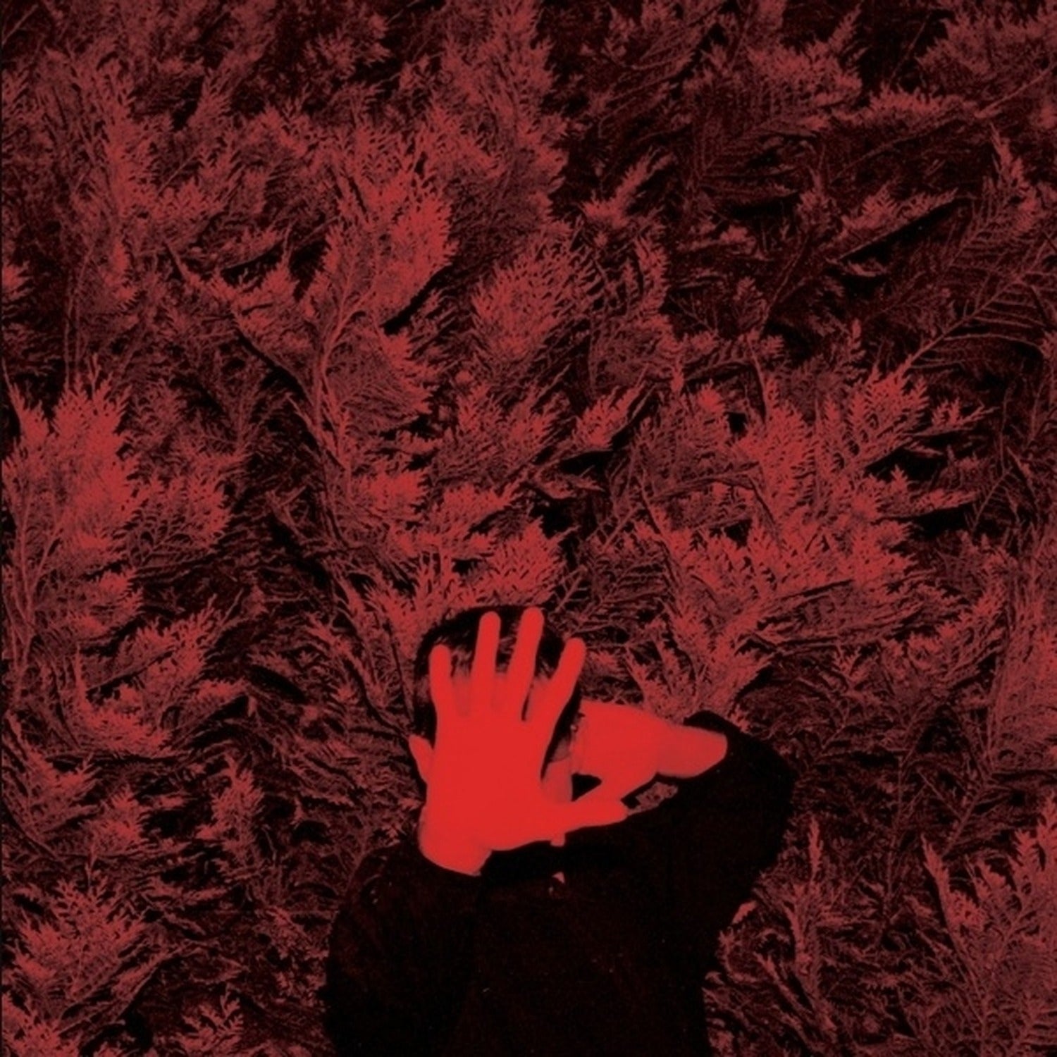 Cory Hanson - Unborn Capitalist From Limbo