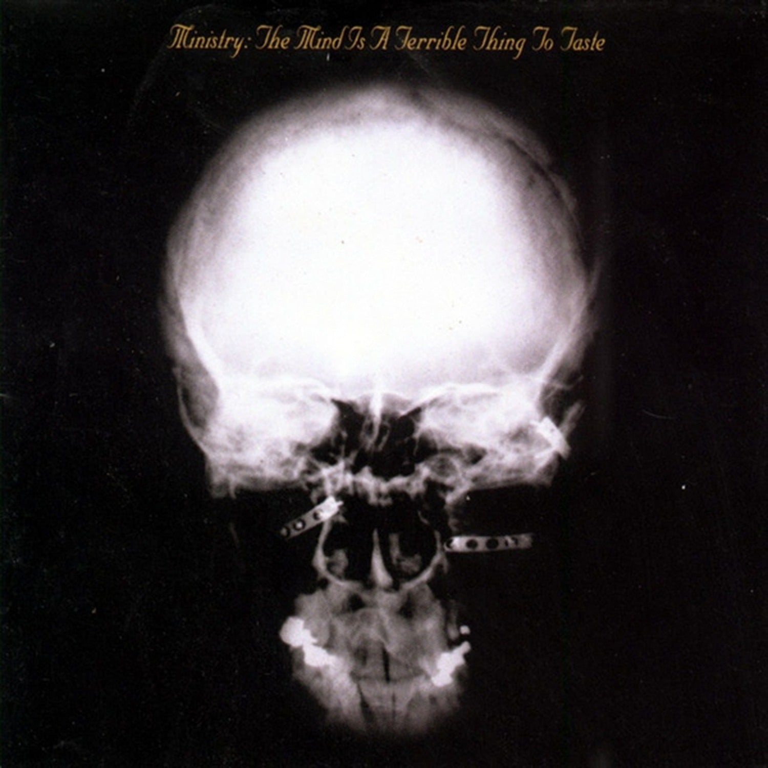 Ministry - The Mind Is A Terrible Thing To Taste 2xLP (Expanded)