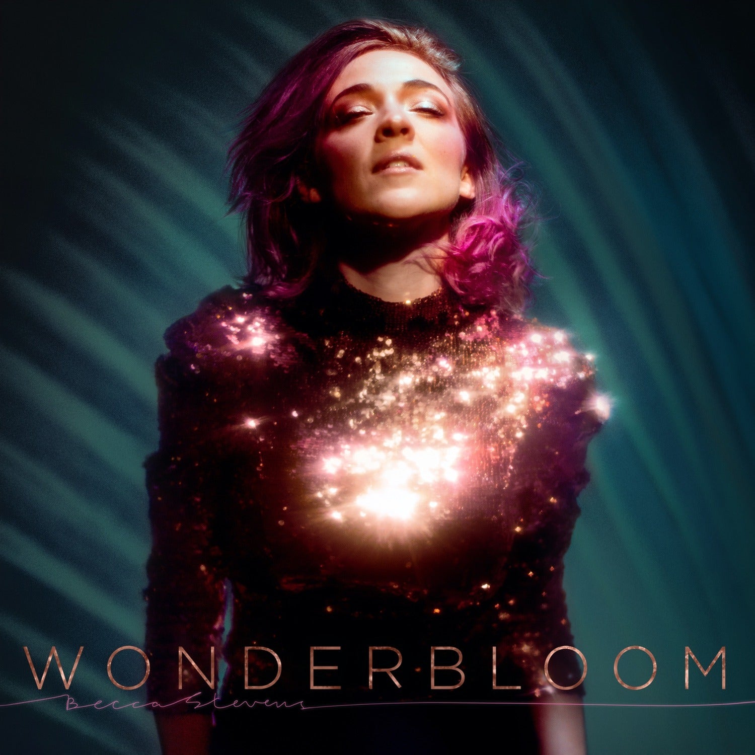 Becca Stevens - Wonderbloom 2xLP