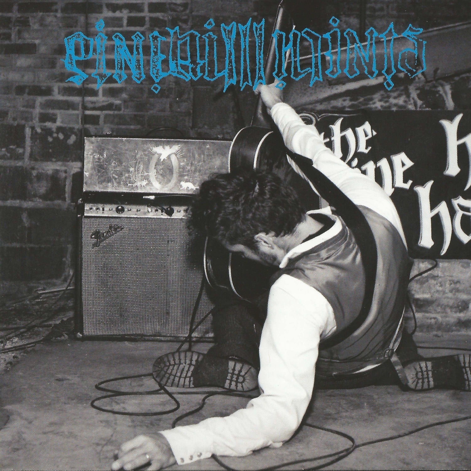 Pine Hill Haints - The Evening Star (CD)
