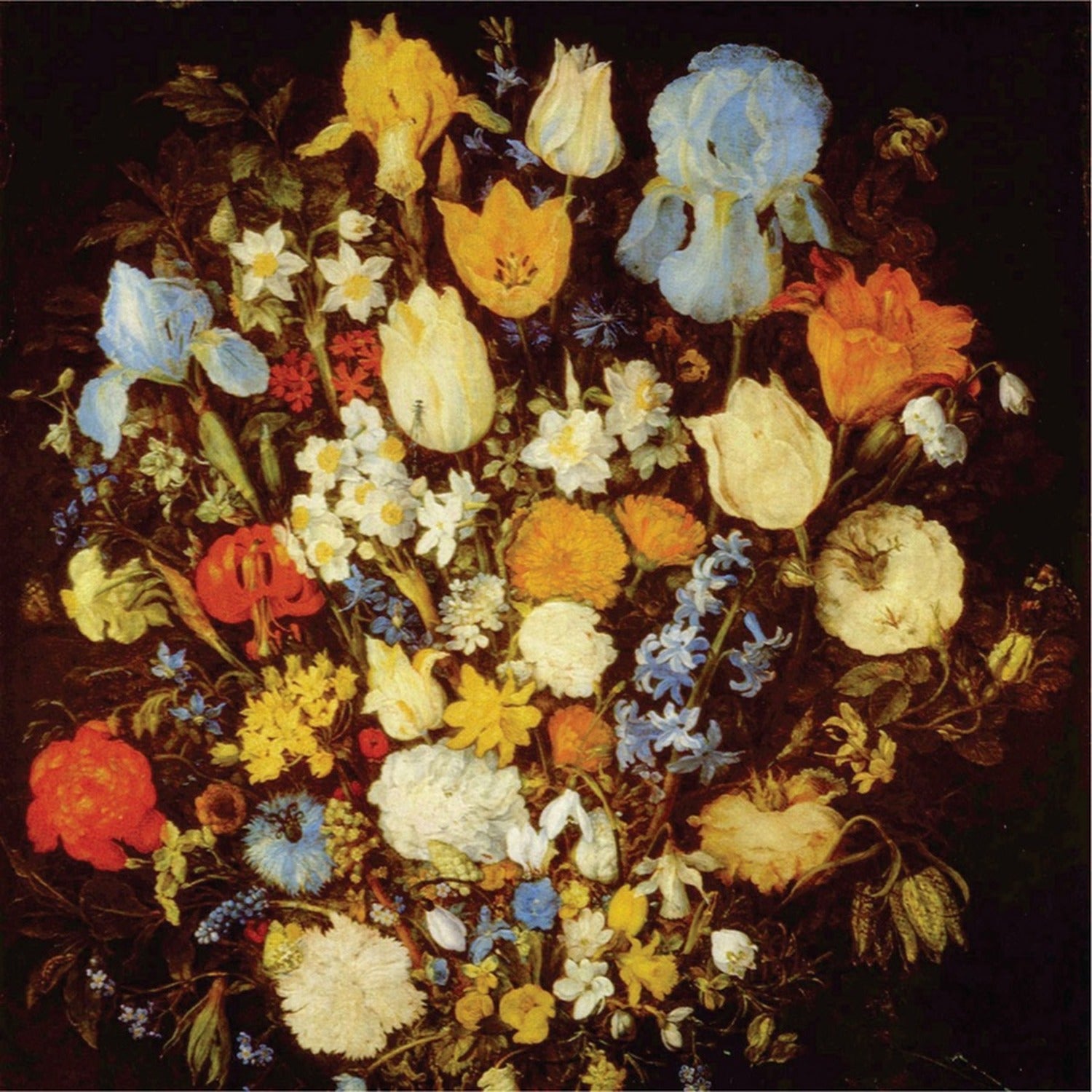 Young Moon - Navigated Like the Swan (CD)