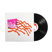 Diiv - Zirp