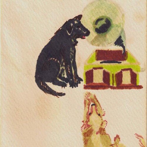 Dwaal Troupe - LUCKY DOG - Corkys Coffee