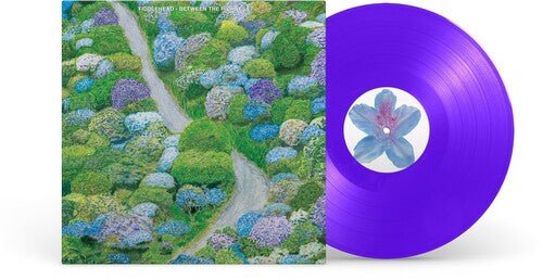 Fiddlehead - Between the Richness - Violet - Corkys Coffee