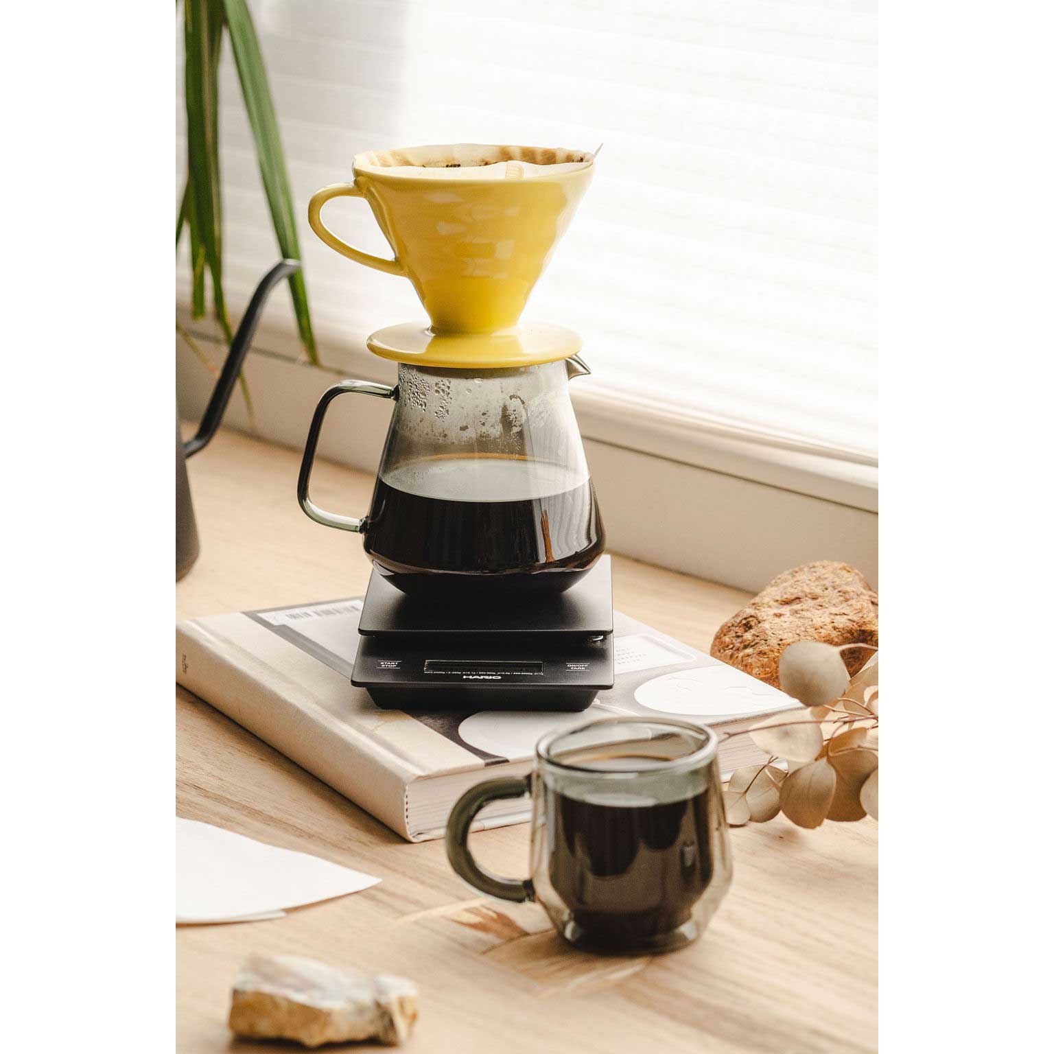 Hario Glass Coffee and Tea Server - Gray (600ml) - Corkys Coffee