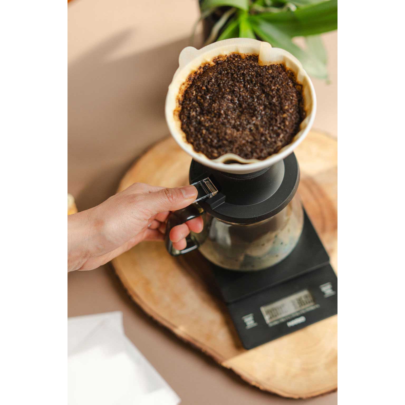 Hario Switch Immersion Coffee Dripper 02 - Ceramic - Corkys Coffee