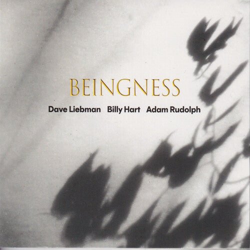 LEIBMAN,DAVE / HART,BILLY / RUDOLPH,ADAM - BEINGNESS - Corkys Coffee