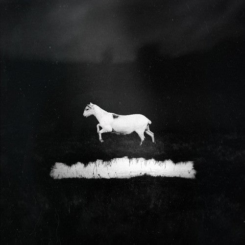 Les Discrets - PREDATEURS - Corkys Coffee