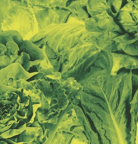 Lettuce - Monorail 3000 B/w Star Children - Corkys Coffee