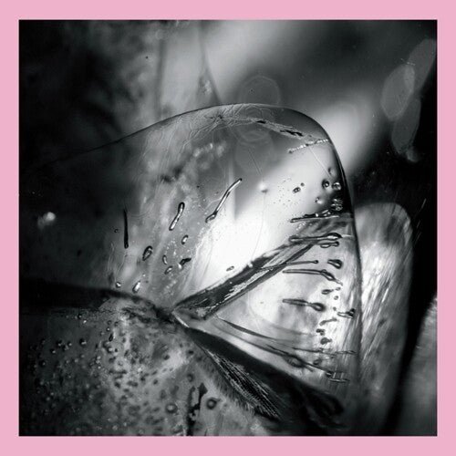 LOSCIL - CLARA - Corkys Coffee