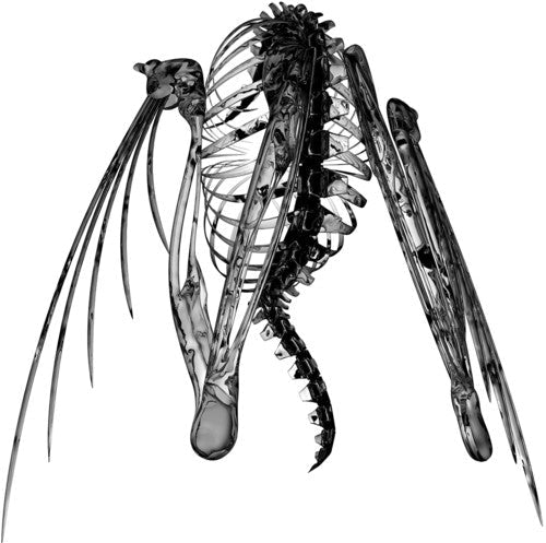 LOTIC - Heterocetera - Corkys Coffee