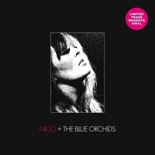 NICO / BLUE ORCHIDS - Live & in Session 1982 - Corkys Coffee