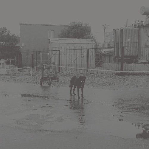 NIVHEK - After Its Own Death / Walking in a Spiral Towards - Corkys Coffee