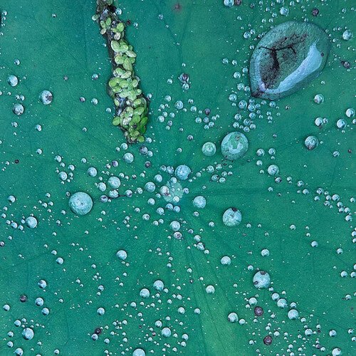 Peter Chilvers - DUST 1 - Corkys Coffee