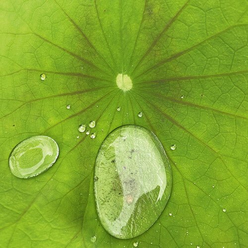 Peter Chilvers - DUST 3 - Corkys Coffee