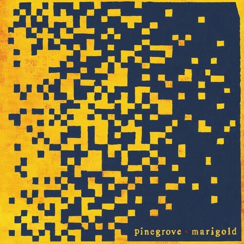 Pinegrove - MARIGOLD - Corkys Coffee