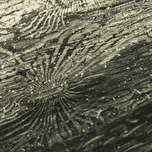 Raphael Roginski - TALAN - Corkys Coffee