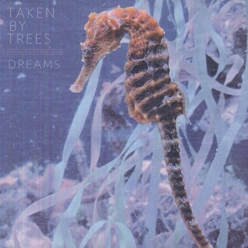 Taken By Trees - DREAMS - Corkys Coffee