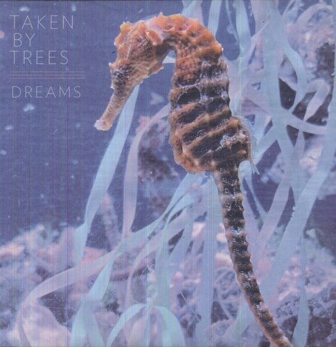 Taken By Trees - DREAMS - Corkys Coffee