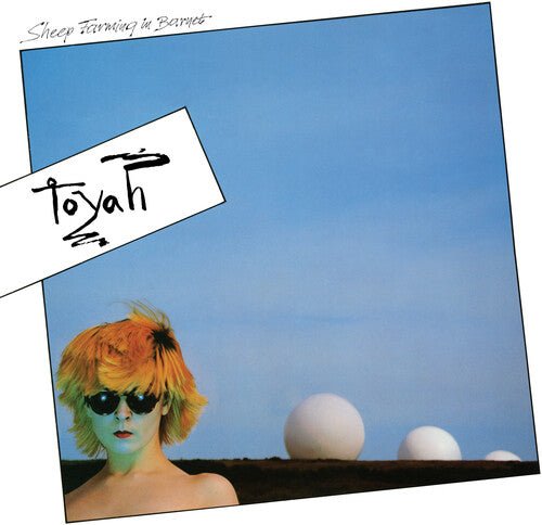 TOYAH - Sheep Farming in Barnet - Corkys Coffee