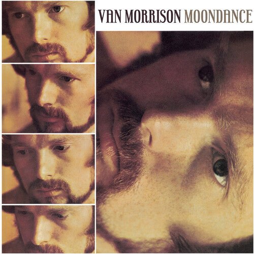 Van Morrison - MOONDANCE - Corkys Coffee