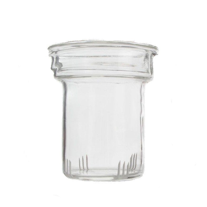 Yama Glass Infuser (For Pumpkin Teapot) - Corkys Coffee